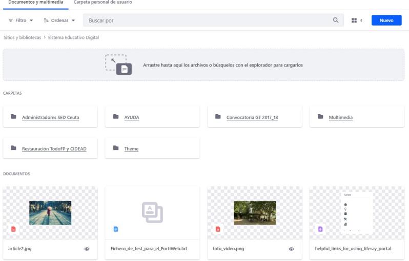 Pantalla de Rellenar un campo de tipo cargar archivo